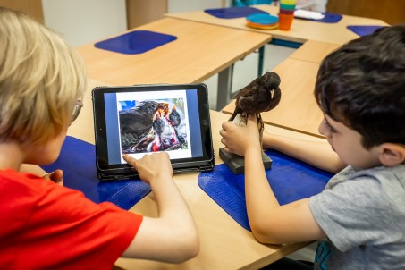 Ein Schüler hält das Model eines Vogels, während ein anderer Schüler Informationen zum Vogel auf einem Tablet aufruft.