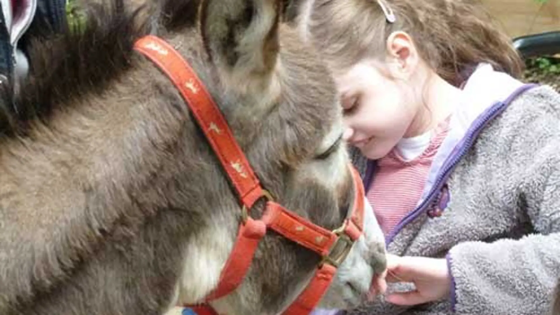 Kinder sitzen mit Therapeut*innen auf einer grünen Wiese