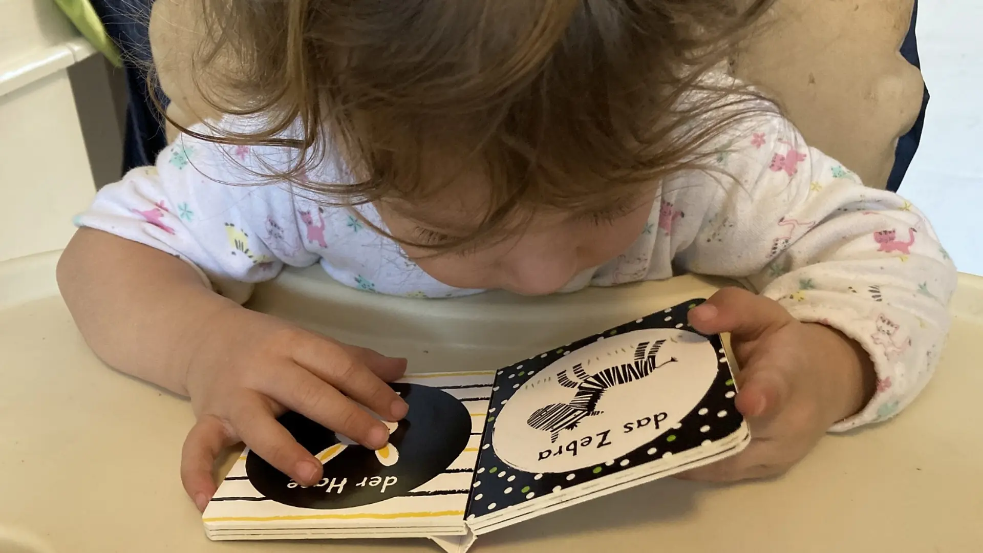 Ein kleines Kind sitzt im Kinderhochstuhl. Auf dem Stuhltablett vor ihm liegt ein Klappbuch mit dicken Pappseiten für Babies, das Kind hält es mit beiden Händen aufgeklappt und beugt sich ganz nah zu den Bildern. Auf der einen Seite ist ein Zebra illustriert, mit der Schrift 'das Zebra' drüber. Auf der anderen Seite ist ein Hase zu sehen, mit der Schrift 'der Hase' drüber.