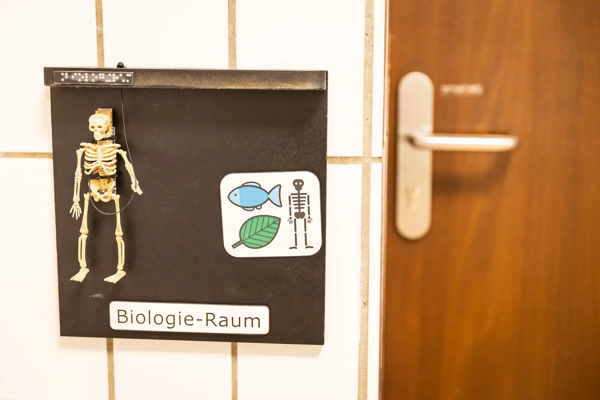 Ein Schild an einer gefliesten Wand, das zur Raumbezeichnung dient. Auf dem Schild steht unten "Biologie-Raum" geschrieben. Oben links auf dem Schild ist ein kleines Skelettmodell angebracht. Daneben befindet sich ein Metacom-Blättchen mit einem Fisch-, einem Blatt- und einem Skelettsymbol. Oben links auf dem Schild ist zudem die Raumbezeichnung in Braille-Schrift zu erkennen. Rechts im Bild ist ein Teil der Holztür mit einem Metallgriff zum Raum zu sehen.