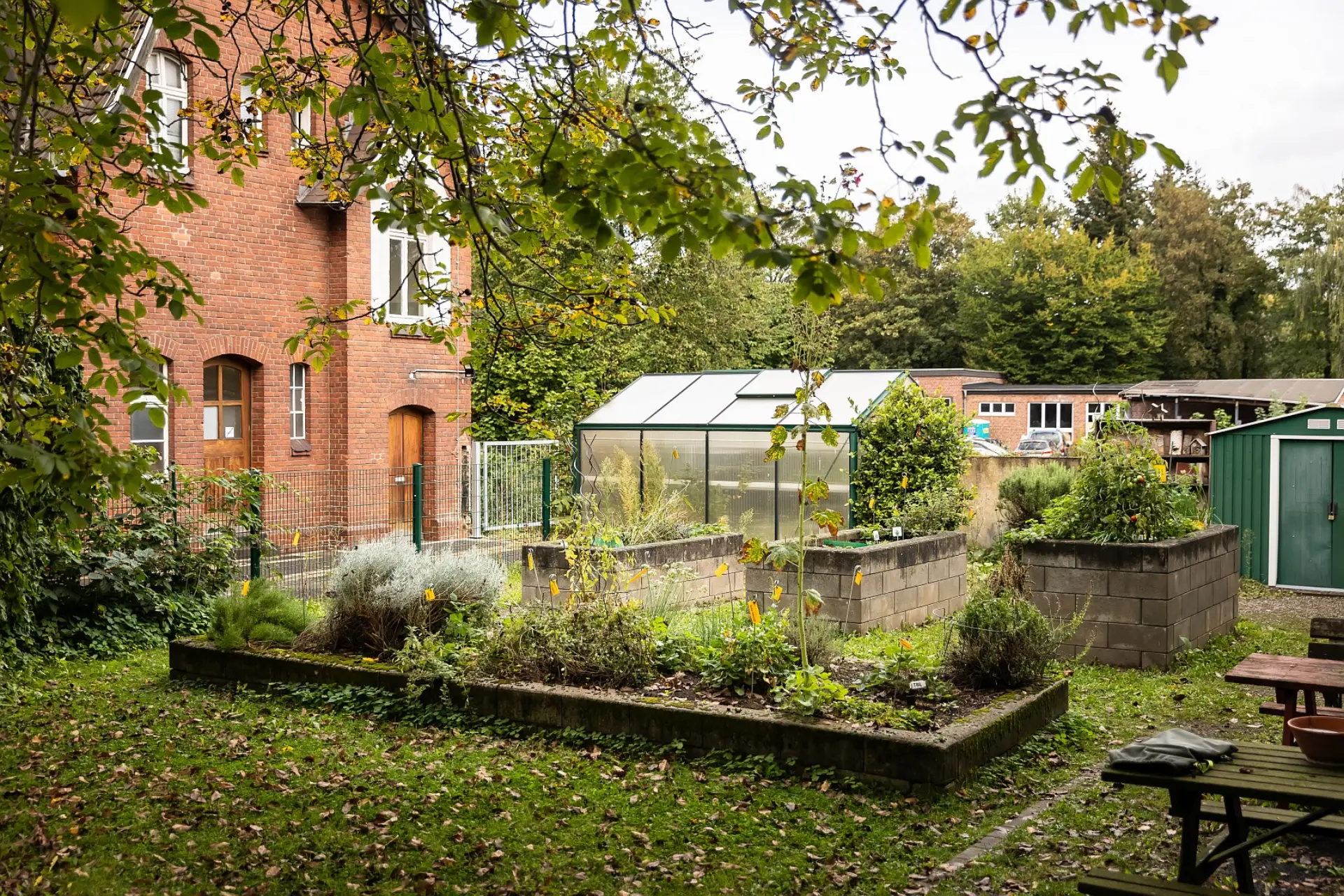 Ein grüner Gartenbereich mit einem langen Kräuterbeet und drei Hochbeeten, die verschiedene Pflanzen enthalten. Im Hintergrund steht ein kleines Gewächshaus mit Glaswänden. Links davon befindet sich ein altes Backsteingebäude, und rechts sind weitere Gebäude sowie ein Schuppen zu sehen. Ein Teil des Bildes wird von Ästen mit Blättern im Vordergrund eingerahmt.