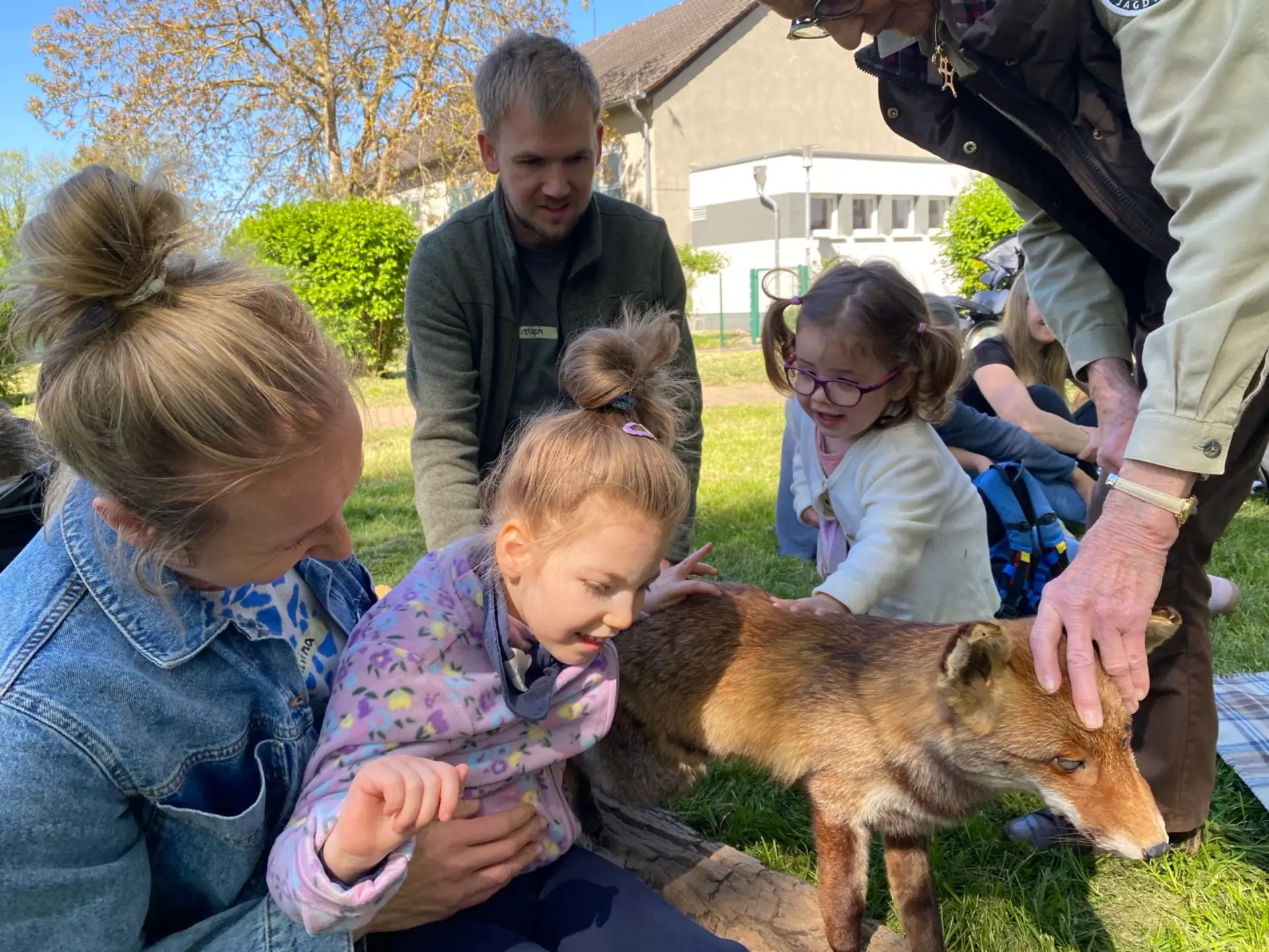 In der Mitte steht das Tierpräparat des Fuchses. Zwei Kinder sitzen drum herum und ertasten das Modell mit Unterstützung.