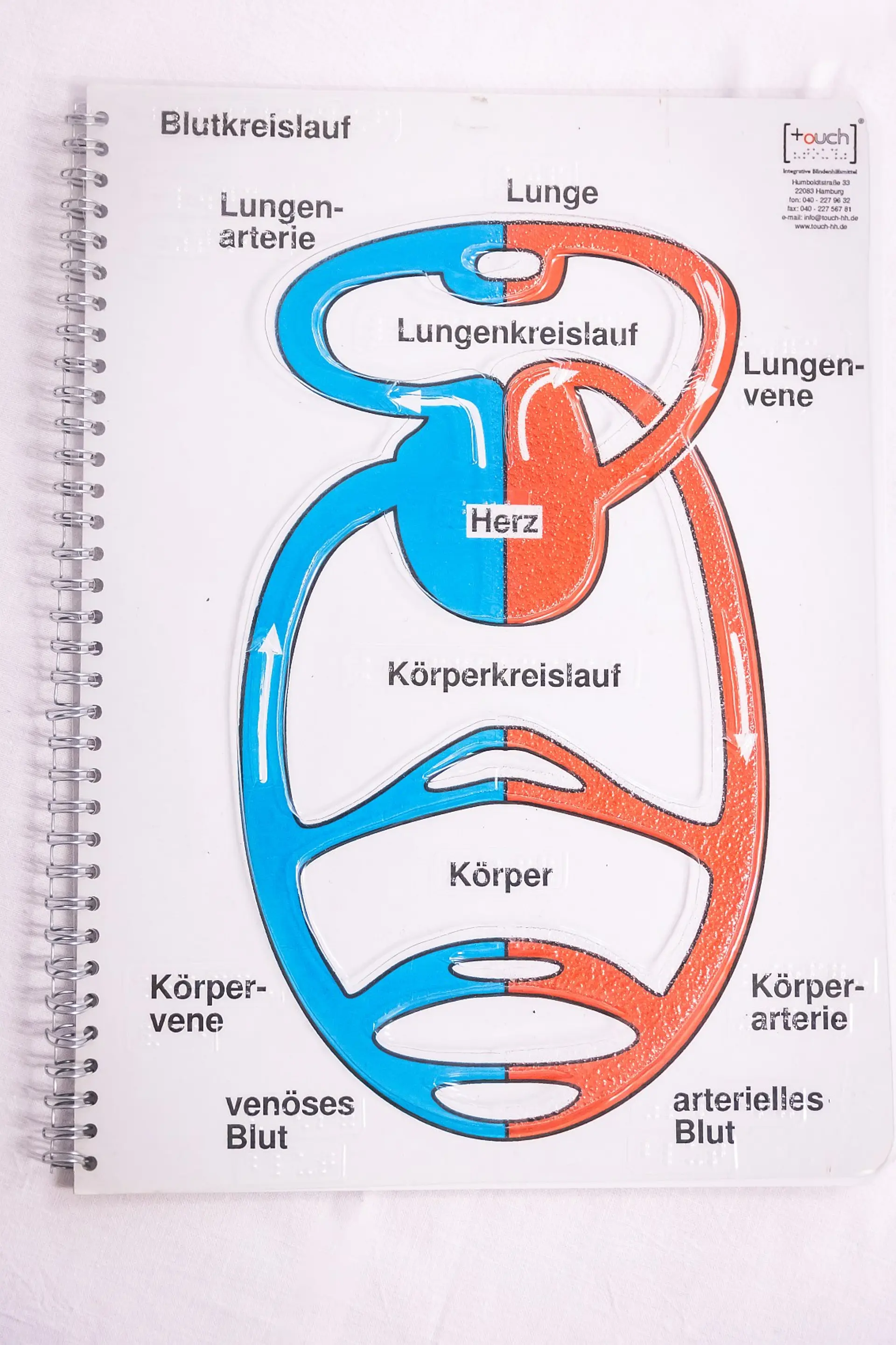 Eine aufgeschlagene Seite eines Spiralblocks zeigt ein taktiles Diagramm des menschlichen Blutkreislaufs, beschriftet mit "Blutkreislauf" am oberen Rand. Das Diagramm ist in zwei Hauptteile unterteilt: den Lungenkreislauf oben und den Körperkreislauf unten. Der Lungenkreislauf zeigt Blutfluss zwischen Herz und Lunge, wobei blaue Linien die Lungenarterie (venöses Blut) und rote Linien die Lungenvene (arterielles Blut) darstellen. Der Körperkreislauf zeigt den Blutfluss zwischen Herz und Körper, wobei blaue Linien die Körpervene (venöses Blut) und rote Linien die Körperarterie (arterielles Blut) darstellen. Alle Linien sind als erhabene, tastbare Konturen ausgeführt und mit Pfeilen versehen, die die Flussrichtung des Blutes anzeigen.