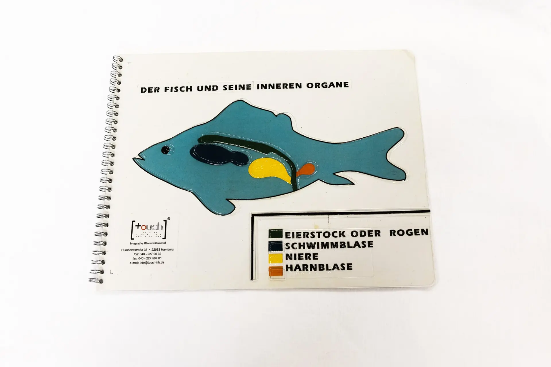 Eine aufgeschlagene Seite eines Spiralblocks zeigt eine taktile Darstellung eines Fisches und seiner inneren Organe. Oben steht in schwarzer Schrift "DER FISCH UND SEINE INNEREN ORGANE". Die Hauptdarstellung ist ein dunkelblauer Fischumriss, in dem taktile, farbige Formen die Organe repräsentieren: ein schwarzer Bereich für den Eierstock oder Rogen, ein dunkelgrauer Bereich für die Schwimmblase, ein gelber Bereich für die Niere und ein orangefarbener Bereich für die Harnblase. Unter der Fischdarstellung befindet sich eine Legende, die die Farben den Organen zuordnet. Im unteren linken Bereich der Seite ist das Herstellerlogo "touch. Integrative Blindenhilfsmittel" mit den Kontaktinformationen in Hamburg abgedruckt.