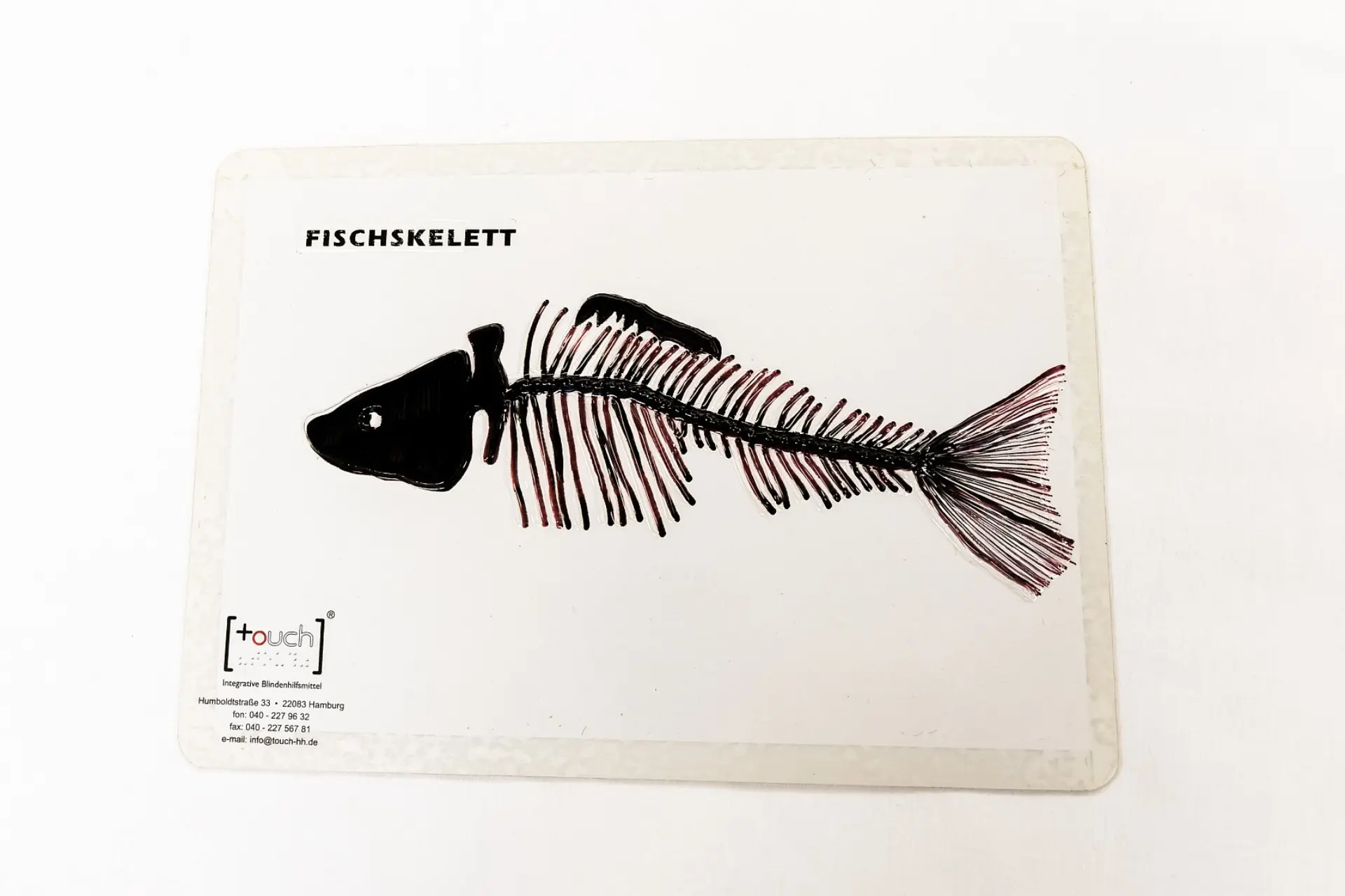  Eine quadratische Tafel mit dem Titel "FISCHSKELETT" in schwarzer Schrift zeigt eine schwarze, taktile Darstellung eines Fischskeletts. Der Fisch ist von der Seite abgebildet, sein Kopf zeigt nach links, und die Gräten sind als feine Linien erkennbar. Im unteren linken Bereich der Tafel ist das Herstellerlogo "touch. Integrative Blindenhilfsmittel" zusammen mit den Kontaktinformationen in Hamburg abgedruckt.