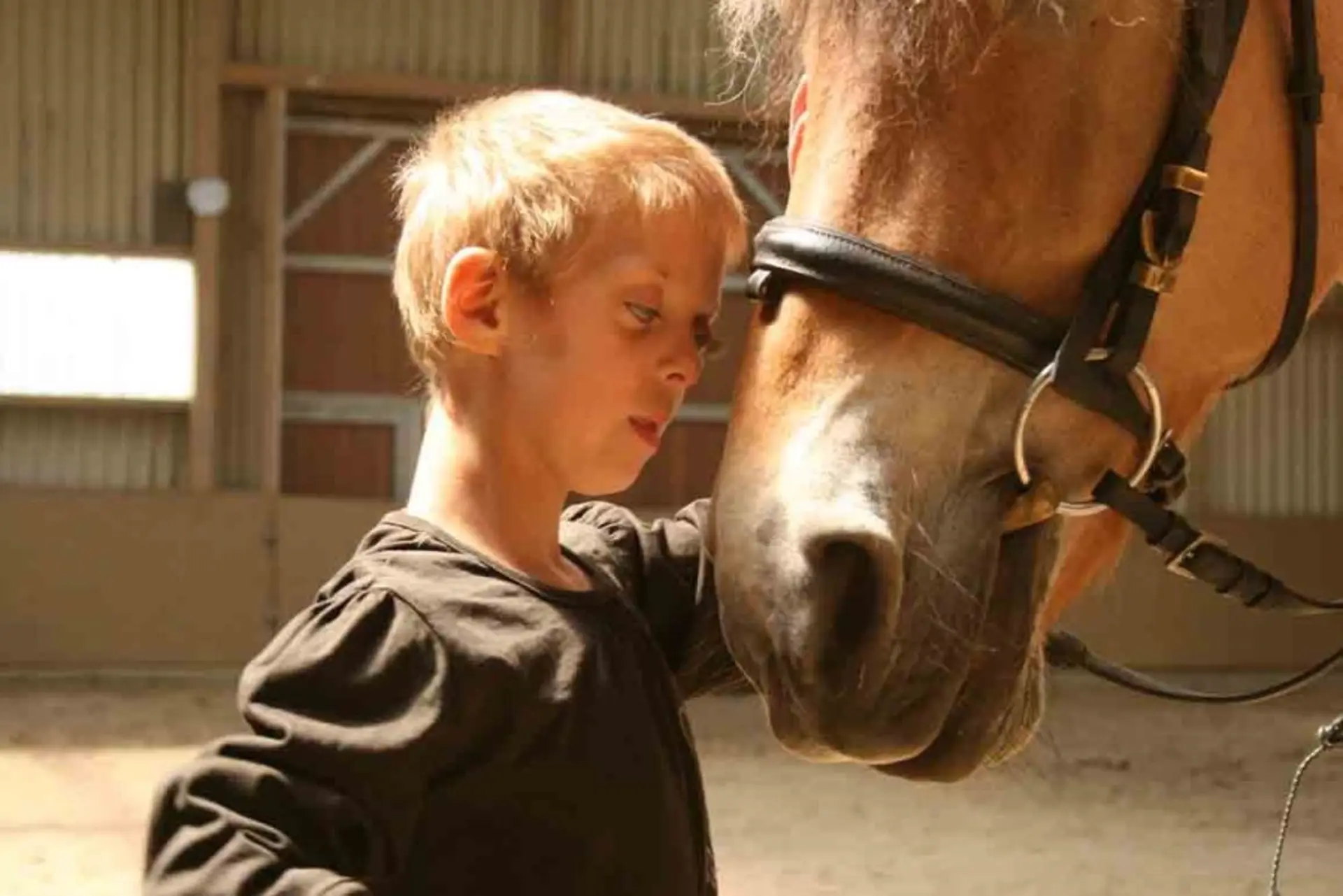Schüler mit Seh- und komplexer Beeinträchtigung steht ganz nah am Kopf eines Pferdes und berührt diesen.